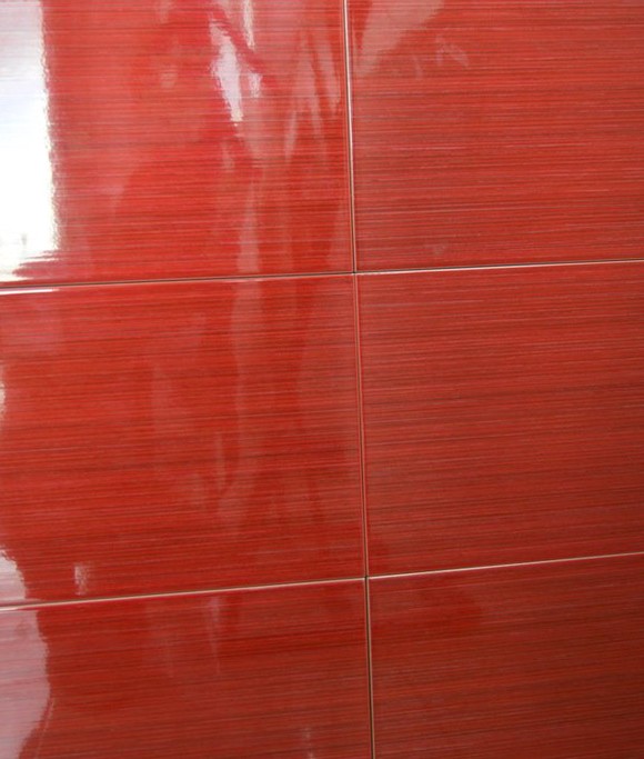 Azulejos costa rica